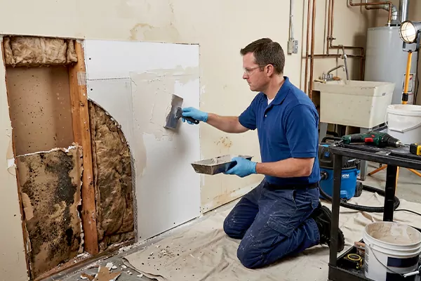 Mold and Drywall Repair Sun City West