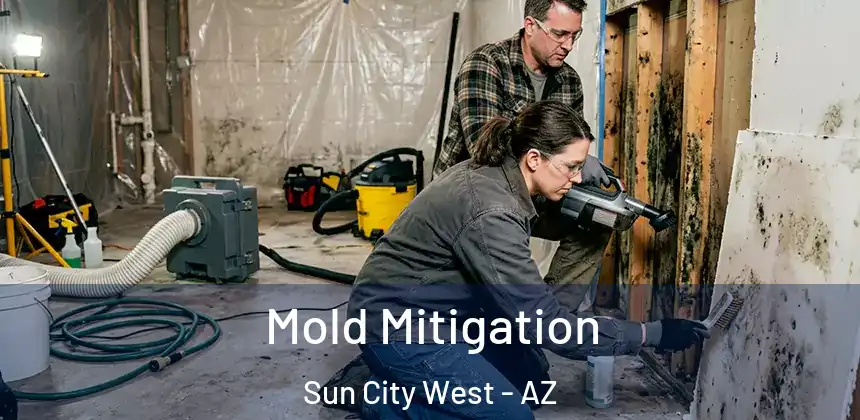  Mold Mitigation Sun City West - AZ