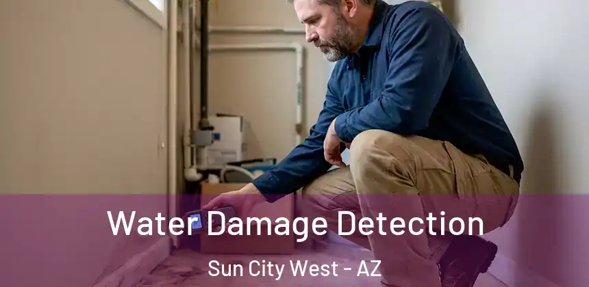  Water Damage Detection Sun City West - AZ
